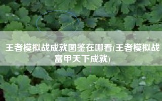 王者模拟战成就图鉴在哪看(王者模拟战富甲天下成就)