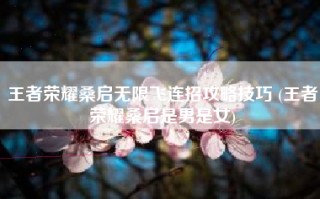 王者荣耀桑启无限飞连招攻略技巧 (王者荣耀桑启是男是女)