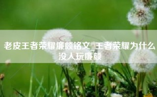 老皮王者荣耀廉颇铭文_王者荣耀为什么没人玩廉颇