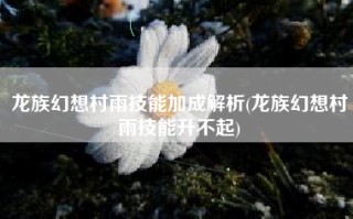 龙族幻想村雨技能加成解析(龙族幻想村雨技能升不起)