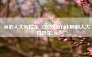 脑洞人大冒险第13关攻略介绍(脑洞人大冒险第16)