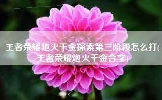 王者荣耀炮火千金探索第三阶段怎么打(王者荣耀炮火千金合字)