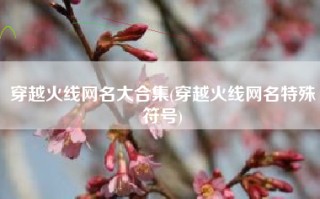 穿越火线网名大合集(穿越火线网名特殊符号)