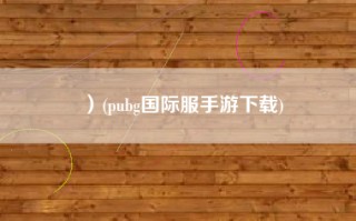 ）(pubg国际服手游下载)