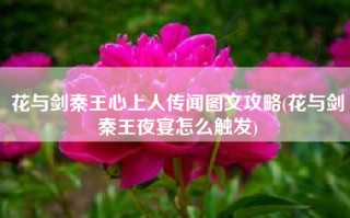 花与剑秦王心上人传闻图文攻略(花与剑秦王夜宴怎么触发)