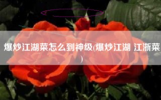爆炒江湖菜怎么到神级(爆炒江湖 江浙菜)
