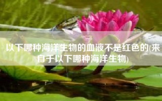 以下哪种海洋生物的血液不是红色的(来自于以下哪种海洋生物)
