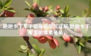跑跑卡丁车手游龟龟氮气详解(跑跑卡丁车手游像素龟龟)