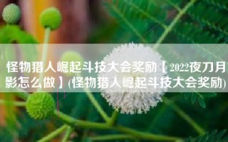 怪物猎人崛起斗技大会奖励【2022夜刀月影怎么做】(怪物猎人崛起斗技大会奖励)