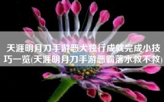 天涯明月刀手游恶犬独行成就完成小技巧一览(天涯明月刀手游恶霸落水救不救)