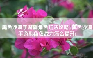 黑色沙漠手游副角色玩法攻略 (黑色沙漠手游副角色战力怎么提升)