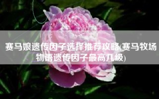 赛马娘遗传因子选择推荐攻略(赛马牧场物语遗传因子最高几级)