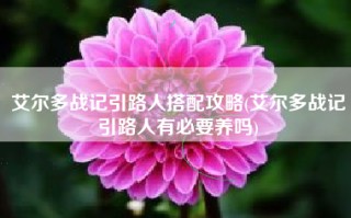 艾尔多战记引路人搭配攻略(艾尔多战记引路人有必要养吗)