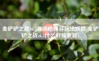 金铲铲之战S6.5名流枪阵容玩法攻略(金铲铲之战s6.5什么时候更新)