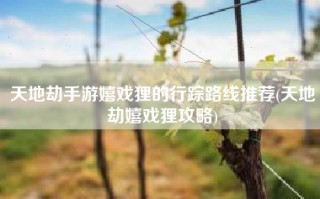 天地劫手游嬉戏狸的行踪路线推荐(天地劫嬉戏狸攻略)