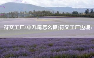 符文工厂5中九尾怎么抓(符文工厂边境)