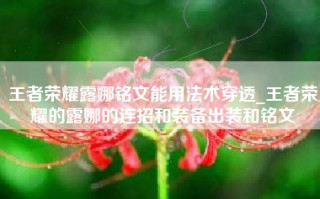 王者荣耀露娜铭文能用法术穿透_王者荣耀的露娜的连招和装备出装和铭文