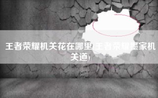 王者荣耀机关花在哪里(王者荣耀墨家机关道)