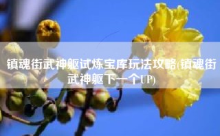 镇魂街武神躯试炼宝库玩法攻略(镇魂街武神躯下一个UP)