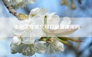 王者荣耀铭文可以反复使用吗