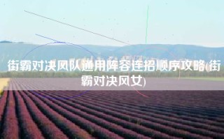 街霸对决风队通用阵容连招顺序攻略(街霸对决风女)