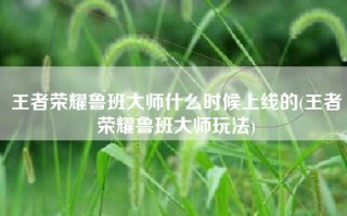 王者荣耀鲁班大师什么时候上线的(王者荣耀鲁班大师玩法)