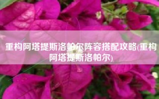 重构阿塔提斯洛帕尔阵容搭配攻略(重构阿塔提斯洛帕尔)