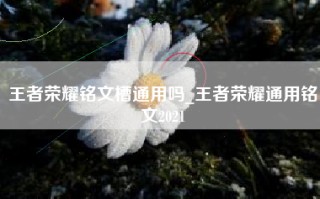 王者荣耀铭文槽通用吗_王者荣耀通用铭文2021