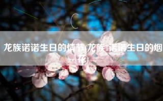 龙族诺诺生日的情节(龙族1诺诺生日的烟花)
