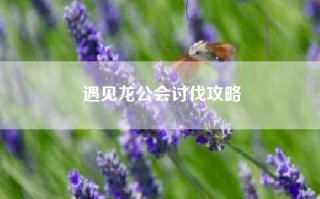 遇见龙公会讨伐攻略