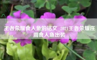 王者荣耀食人鱼的铭文_2021王者荣耀庄周食人鱼出装