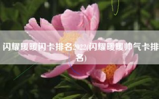 闪耀暖暖闪卡排名2022(闪耀暖暖帅气卡排名)