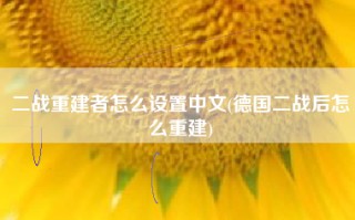 二战重建者怎么设置中文(德国二战后怎么重建)