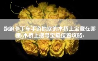 跑跑卡丁车手游地底的木桥上宝藏在哪里(木桥上搜寻宝藏位置攻略)