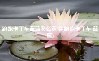 跑跑卡丁车蓝蓝怎么获得(跑跑卡丁车 蓝蓝)