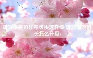 魂器学院班长等级快速升级(魂器学院班长怎么升级)