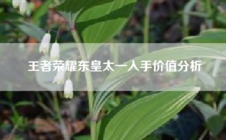 王者荣耀东皇太一入手价值分析