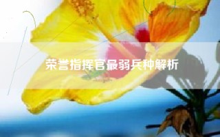 荣誉指挥官最弱兵种解析