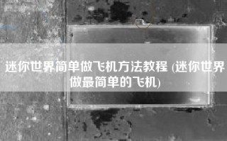 迷你世界简单做飞机方法教程 (迷你世界做最简单的飞机)