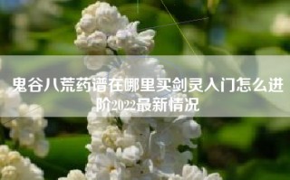 鬼谷八荒药谱在哪里买剑灵入门怎么进阶2022最新情况