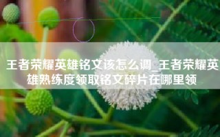 王者荣耀英雄铭文该怎么调_王者荣耀英雄熟练度领取铭文碎片在哪里领