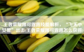 王者荣耀娜可露露技能解析，“飞天小女警”出击(王者荣耀娜可露露怎么获得)