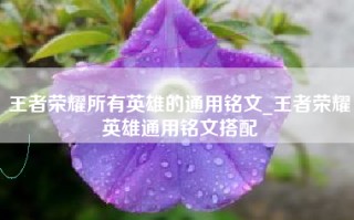 王者荣耀所有英雄的通用铭文_王者荣耀英雄通用铭文搭配