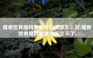 魔兽世界魔网能量线的读数怎么做(魔兽世界魔网能量任务交不了)