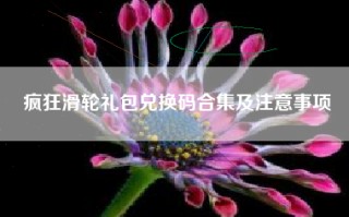 疯狂滑轮礼包兑换码合集及注意事项