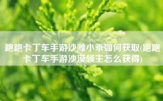跑跑卡丁车手游沙滩小乖如何获取(跑跑卡丁车手游沙漠领主怎么获得)