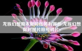 龙族幻想周末限时任务有哪些(龙族幻想限时图片称号碎片)