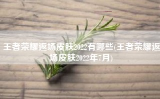 王者荣耀返场皮肤2022有哪些(王者荣耀返场皮肤2022年7月)