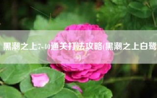 黑潮之上7-40通关打法攻略(黑潮之上白鹭)