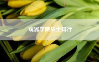 魂器学院战士排行